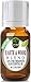 Earth & Wood Essential Oil Blend 100% Pure, Best Therapeutic Grade - 10ml - Cedarwood, Gurjum, Patchouli, and Sandalwood