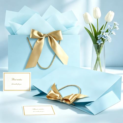 Image of JMANNI Gift Bags with Handles, 13 inch Medium Gift Bags with Tissue Paper