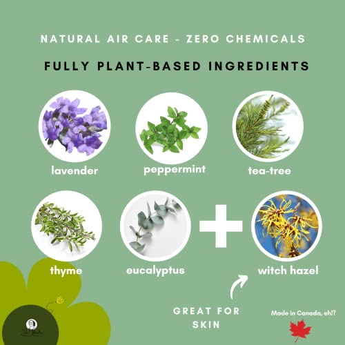 Shoe And Foot Deodorizing Spray Mist, 2 Fl Oz 60 Ml, Powerful All Natural Odor Eliminator Spray With Mint, Thyme, Citrus & Tea Tree Oil Detox – Essential Oil Based Great For Skin, Hypoallergenic #TOP2
