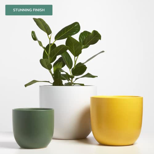 Peach & Pebble 12 Inch Pink Ceramic Planter. Contour Plant Pot For House Plants And Indoor Plants (Drainage + Stopper Included). #TOP1