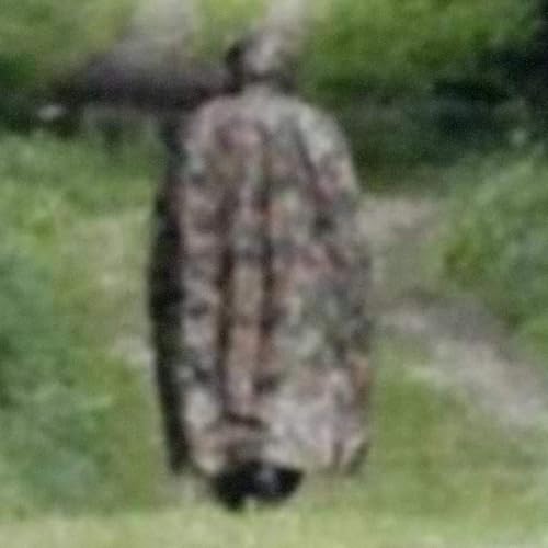 A figura encapuzada de Maules &mdash; Le Loyon