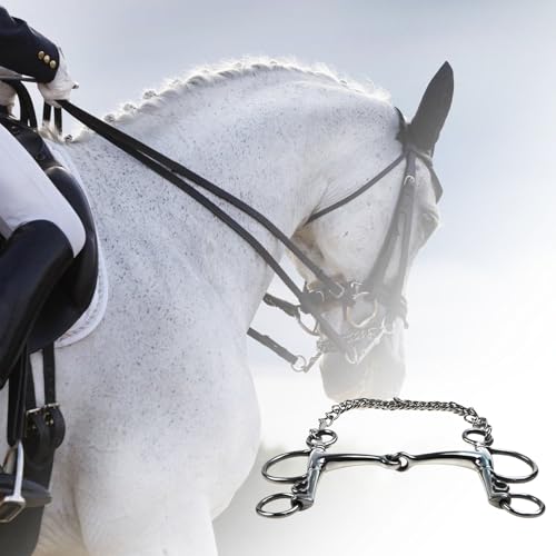 Mèche d'équitation acier inoxydable de qualité supérieure et surfaces lisses