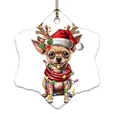 Adornos de Navidad 2024: nuestro primer adorno de Navidad, diseño de impresión de doble cara, tratamiento térmico por sublimación, por lo que el patrón está impreso permanentemente en los adornos. Fácil de capturar la alegría de tu primera Navidad como una familia más grande. Es un recuerdo preciado que simboliza el amor y la felicidad que has encontrado el uno en el otro, estos serán regalos divertidos para amigos