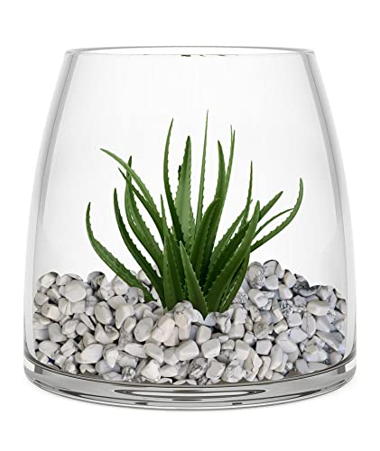 100% Natural White Turquoise Polished Stones 2.7Lb Decorative Jade Pebbles Marble Rock Bonsai Gravel For Plants, Gardens, Décor, Landscaping, Succulent, Terrarium, Without Fillers, Bright White Finish #TOP5