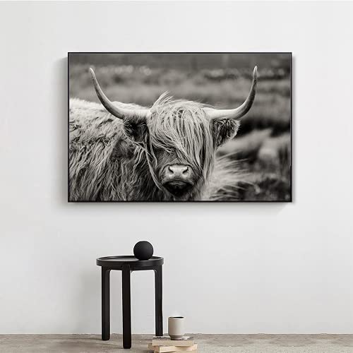 Tableau vache écossaise affiche yak décoration murale salon
