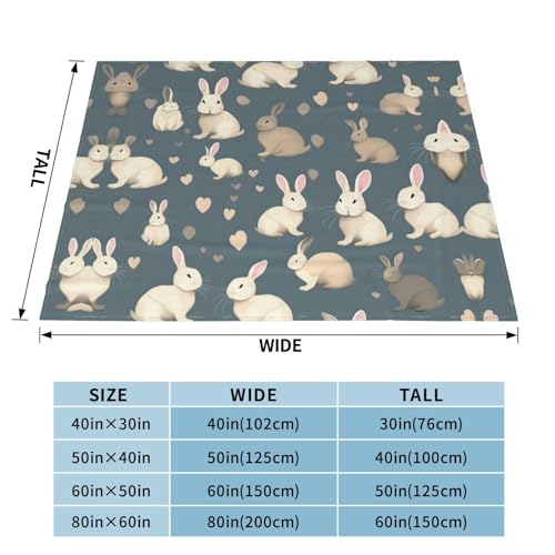 Couverture en flanelle chaude plaid doux canapé lit extérieur hiver