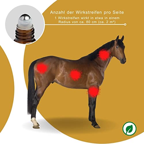 Peticare Anti-Kriebelmücken Stopp Roll-On für Pferde – Abwehr auch gegen Gnitzen, effektiv dem Sommerekzem vorbeugen, Keine Ekzemer-Decke mehr, Anflug-Stopp - petAnimal Protect 2011 - Image 5