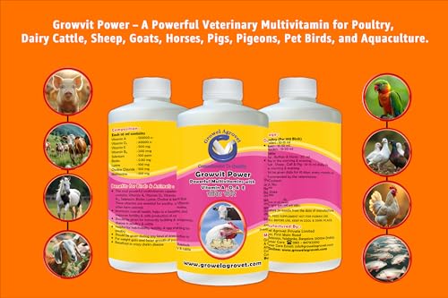 Image of Growel Agrovet Growvit Power Multivitamin Supplement for Poultry, Cattle, Goats, Sheep, Horses, Pigs, Pigeons, Pet Birds & Aquaculture | Supports Growth, Immunity, Energy & Overall Health - (1000 ml)