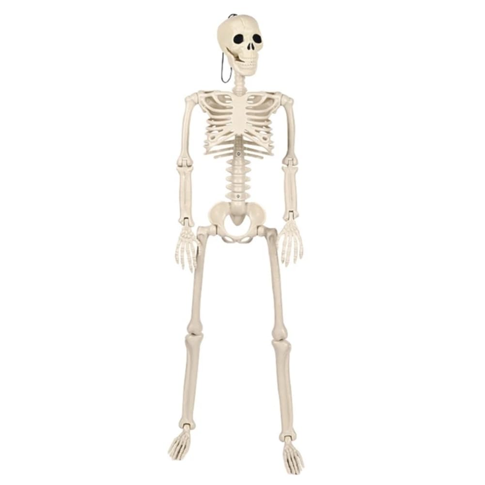 CTRLZS Life Size Full Human Body Skeleton for Halloween Decoration Hanging Props for Halloween for Graveyard Scenes