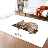 ♥ Tamaño de la Alfombra: aproximadamente 60x90 cm, la alfombra grande súper suave y moderna es perfecta para el dormitorio y el área de tráfico entre la casa.
