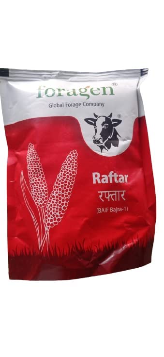 Global Sorghums Argo0 Seed 1kg- Pack of 2 : Amazon.in: Garden & Outdoors