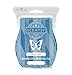 Scentsy Mystery Man Scent of the Month for May