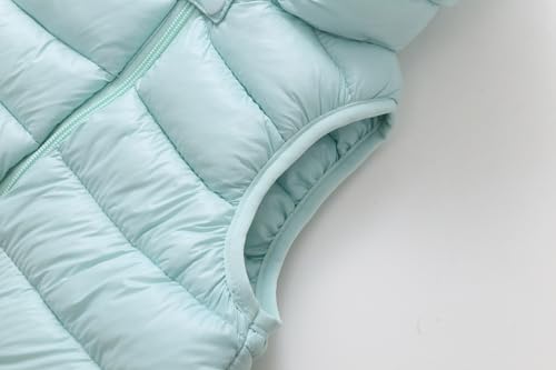 Image of AIWUHE Baby Boys Girls Hooded Puffer Vest Winter Lightweight Sleeveless Bear Ears Zipper Up Jacket Down Vest Coat Vests Kids