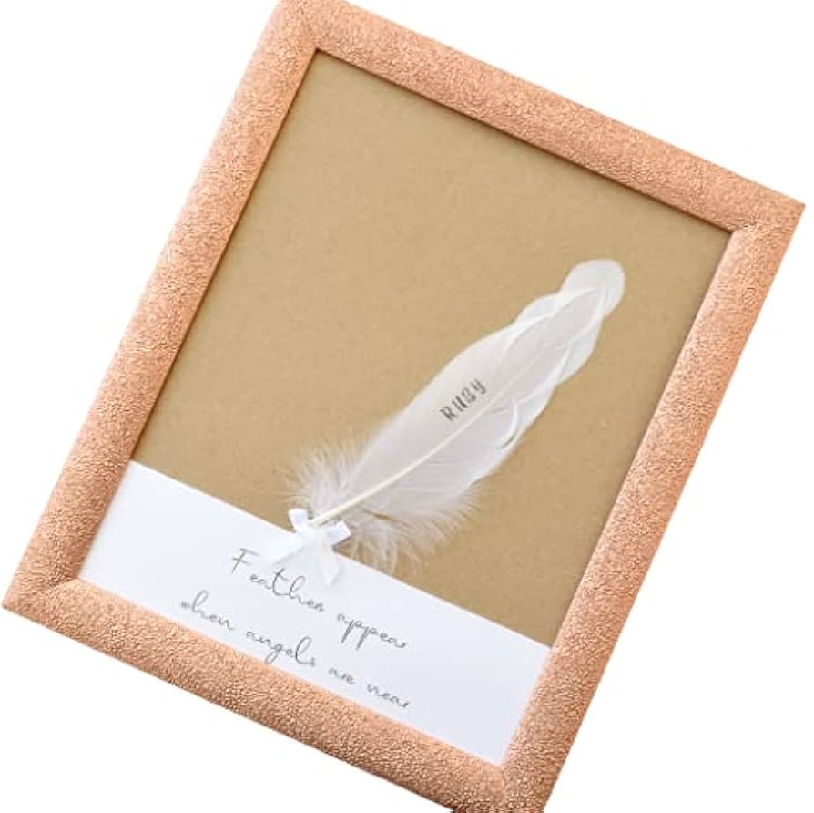 hide Memorial Feather Frame ~Last Session~ 美品 X JAPAN HIDE