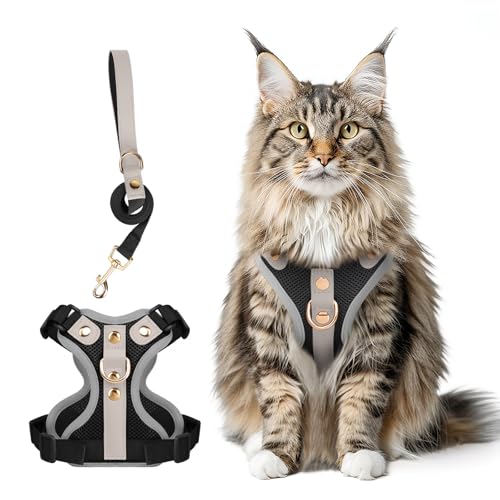 Muecleao Set di pettorina e guinzaglio per gatti a prova di fuga, finiture in pelle in microfibra di alta qualità, pettorina riflettente regolabile per gatti, pettorina traspirante anti-tiro, con