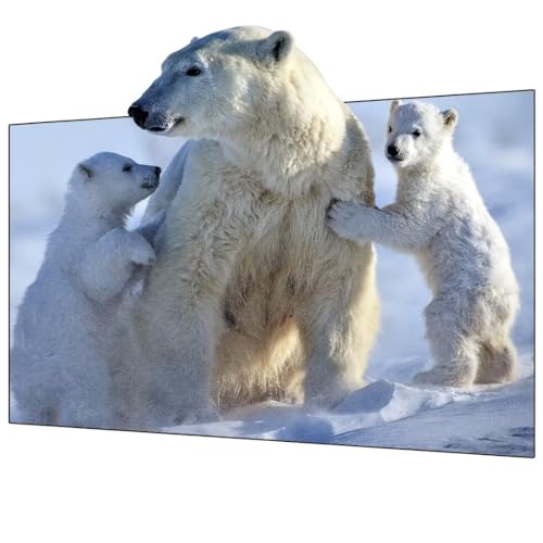 2023 Wupro2023 Nuevo Marco Suave Gris Bsp De Alr Home Cinema 16:9 Pantalla De 110 Pulgadas 2023 Wupro2023 Nuevo Marco Suave Gris Bsp De Alr Home Cinema 16:9 Pantalla De 110 Pulgadas