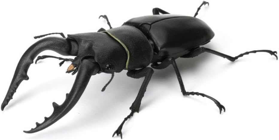 いきもの大図鑑06クワガタ RH