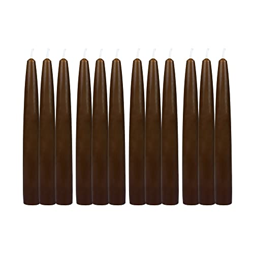 Zest Candle 12-Piece Taper Candles, 6-Inch, Brown #TOP1