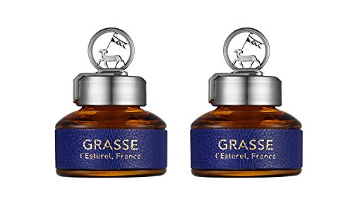 Bullsone Grasse L'esterel, Natural Car Air Fresheners, Luxury Car Perfume - Aqua Wave Scent (2 Pack)