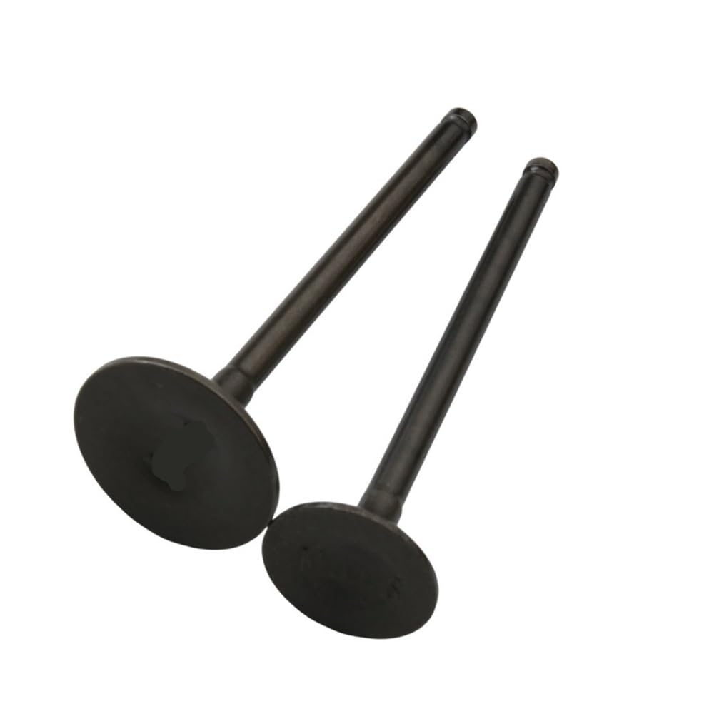 2PC Intake and Valves Fit for Jt14 ST 125i E4 125cc 14711-MA1-000 14721-MA1-000
