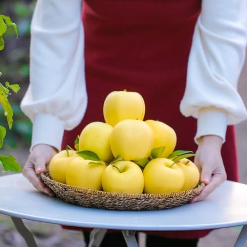 200 pezzi semi di mele - quelli di giardino sono resistenti mela, giardino decorativo per uomini, semi resistenti colonnari