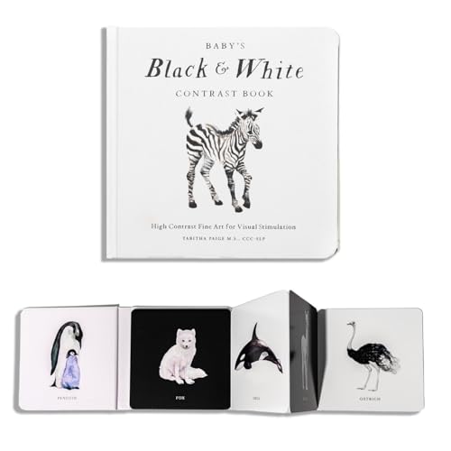 Image of Baby's Black and White Contrast Book: High-Contrast Art for Visual Stimulation at Tummy Time (Our Little Adventures Series)