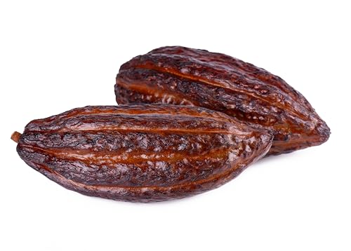 Fresh Cacao Pod Fruit Set of 2