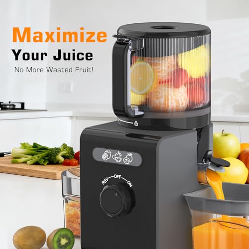 Smallhoo Cold Press Juicer thumbnail 4