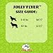 Jolly Pets Flexible, Floating Flyer Dog Toy, Large/9.5-Inch Orange