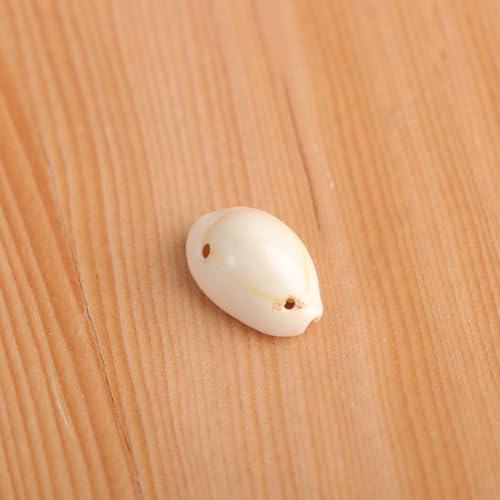 [DOITOOL] 50 JLy_g VRLky_g DIYCO lbNXpi`݂艺 nhChANZT[f