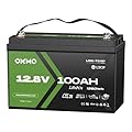 12V 100Ah LiFePO4 Lithium Battery, Group 31, Built-in 100A BMS, Low-Temp Protection, 15000+ Deep Cycles, Lightweight Rechargeable Battery for RV, Solar, Marine, Trolling Motor, Home, Off-Grid