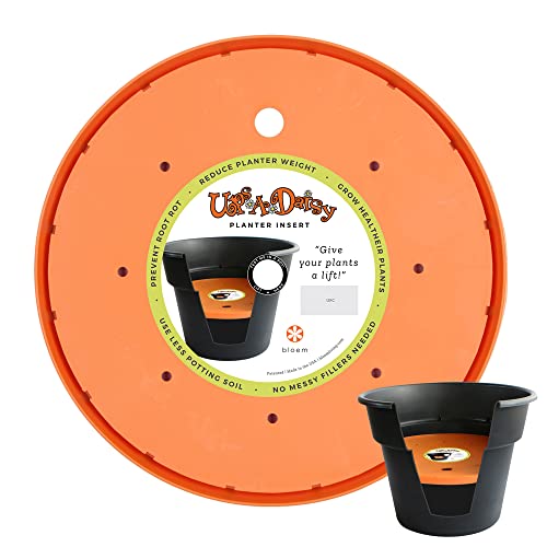 Bloem Ups-A-Daisy Round Planter Lift Insert (T6324-6), Orange, 14" #TOP1