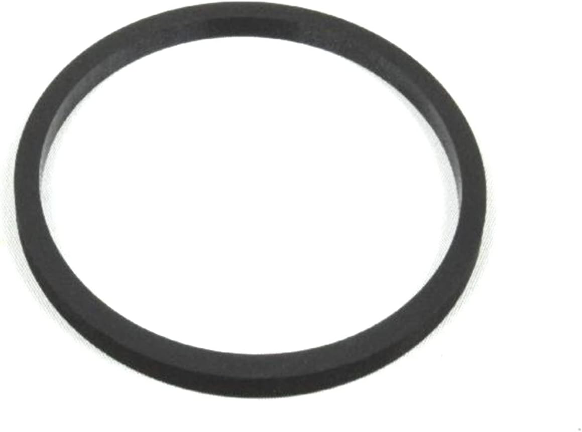 Mopar 0442 9698, Engine Water Pump Gasket