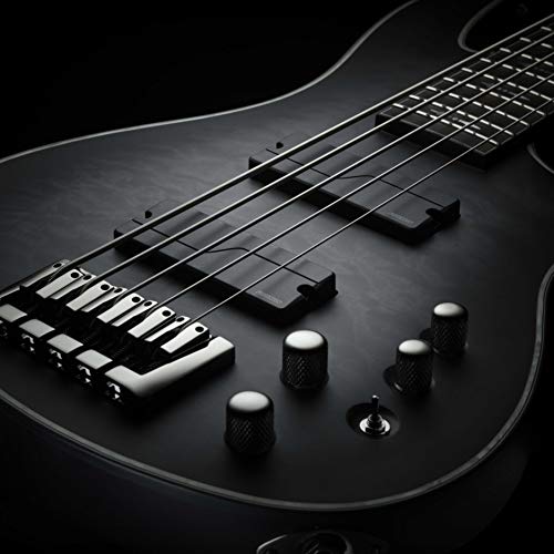 Micro basse actif Fishman Fluence 5 cordes soapbar noir électronique