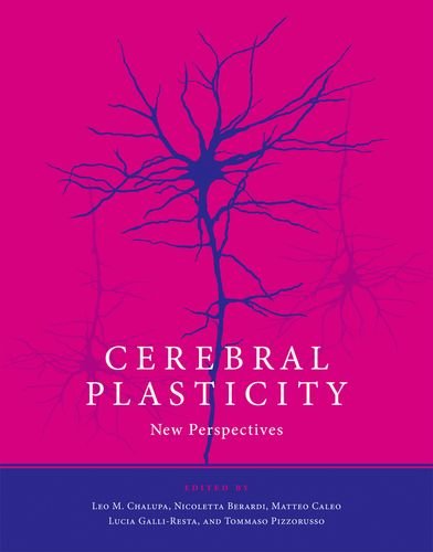Cerebral Plasticity: New Perspectives (The MIT Press)