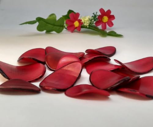 20 Tagua Red Slices Curved - Nail Shape from Colombia Rainforest. Undrilled. Size: 3.5 x 2.5 cm. Approx.