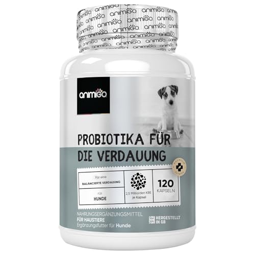 Probiotika für die Verdauung bei Hunden - 120 Darm Kapseln - Geeignet für kleine bis große Hunde - Mit Lactobacillus, Leinsamen - Alternativ zu Probiotika Tabletten & Probiotics Snacks - animigo
