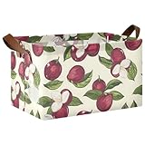 Reiacy Contenedor rectangular de almacenamiento con patrón de frutas de mangostán, organizador plegable con asas para organizar estantes, ropa, juguetes, hogar, oficina, guardería