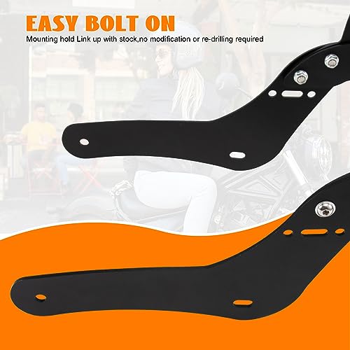 Eumti Sissy Bar Luggage Rack for Honda 500