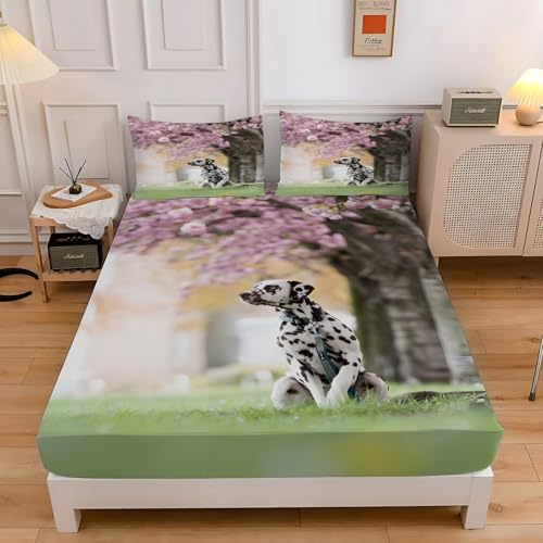 {bNXV[c NC[ _VA 􂦂xbhJo[ 160x200x30cm RۖhL}bgXJo[  |bvȃX^C EȒPzcV[c _炩ʋC QZbgA2 43x63 cm