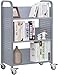 H&A Rolling Book Cart Home Office Library Book Truck Flat Storage Organizer Shelves 200lbs Capacity (Gray)