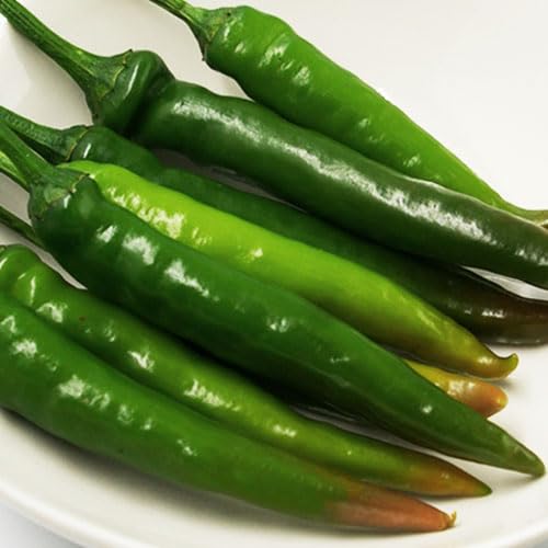 Amazon.co.jp: 冷蔵 チョンヤンコチュ 辛口青唐辛子 (300g) □韓国産