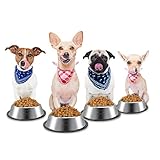 Iyowei 5 Stück Edelstahl Hundenapf, rutschfeste Katzennapf Set Fressnapf Set Sichere Futternapf Wasser Fütterung Schüssel für Katze Hunde Hamster Welpe Kleine Tiere (Größe: 15.6 * 3.5cm)