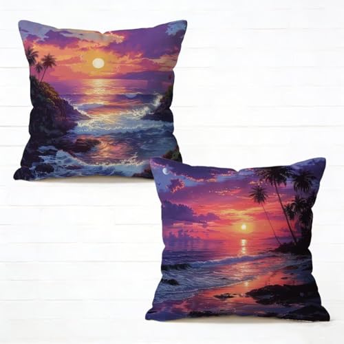 �N�b�V�����J�o�[ 55x55 cm 2���Z�b�g �� ���z�c�J�o�[ 55 x 55 �\�t�@�[ �N�b�V���� ���� �l�C ���O �N�b�V���� �C �������J�o�[ �l�p HD���ʈ�� ���_�� �B���t�@�X�i�[�t���C�t�ăR���N�V���� �K�p�Ώ� �ƒ� �I�t�B�X �֎q �ԓ� 