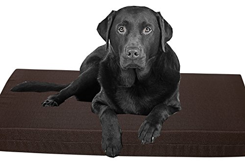 Lit pour chien orthopédique déhoussable matelas mousse à mémoire