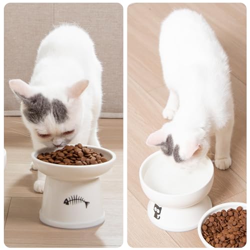 FOREYY Raised Cat Food and Water Bowl Set, Whisker Friendly Elevated Ceramic Cats Feeder Bowls with Anti Slip Ring, Anti-Vomiting Shallow High Porcelain Pet Kitten Dish, Dishwasher Safe(White)