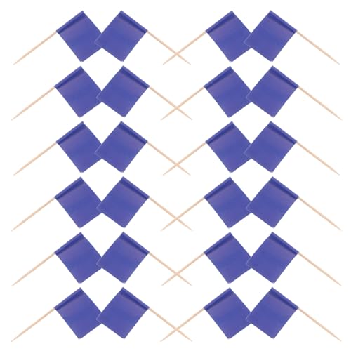 HOODANCOS Étiquettes Cure-Dents Alimentaires Bleues 100 Pièces, Marqueurs de Fromage Colorés en Papier, Décorations Cocktail et Plateau Charcuterie, Accessoires pour Fêtes et Apéritifs