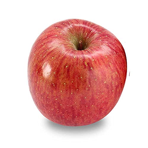 �M�B ���쌧�Y �T���ӂ� ��Tkg ���