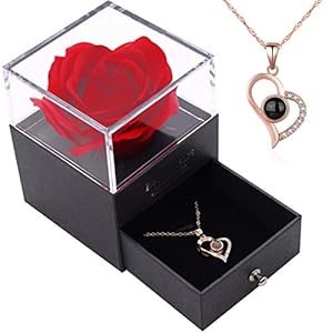 I Love You Ketting 100 Talen YUESEN Red Rose Gift Box Sieraden Doos Voor altijd Rose Nooit Verdorde Bloem Romantische…
