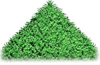 4m x 3m Preston 6mm Pile Height Artificial Grass | Natural & Realistic Looking Astro Garden Lawn | 9 ft 10 Inch x 12 ft 10 Inch | 300cm x 400cm | 118 x 157 Inches | High Density Fake Turf